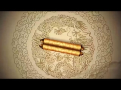 Company Product Overview