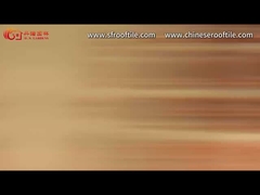 Chinese Traditional Pattern Perforated Bricks Wall Partition